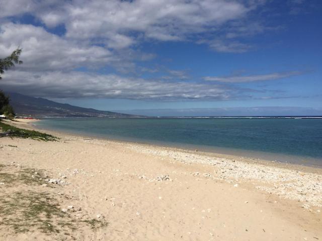 Villa De Charme Proche Plage Et Lagon La Saline Le Bains Eksteriør bilde