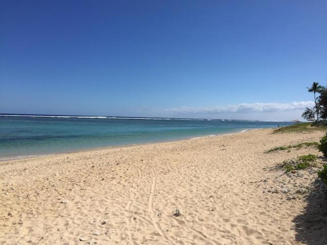 Villa De Charme Proche Plage Et Lagon La Saline Le Bains Eksteriør bilde